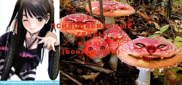 марихуана Белокуриха