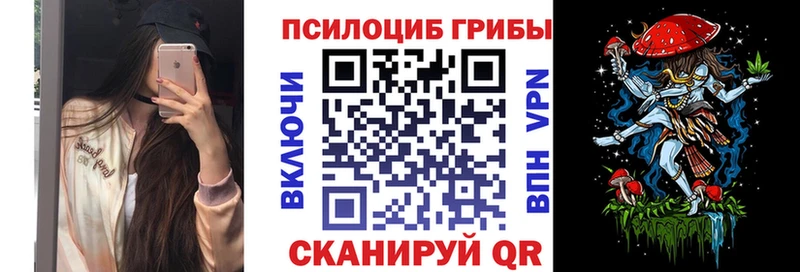цена   Мичуринск  Галлюциногенные грибы прущие грибы 