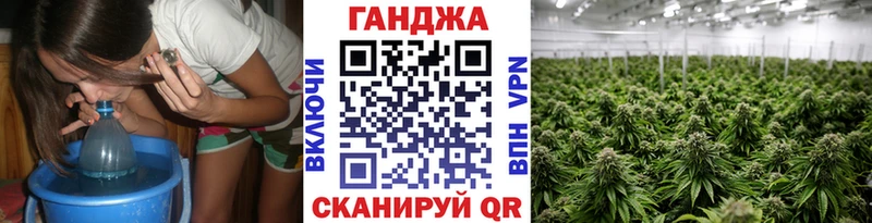 Канабис план  купить наркоту  Мичуринск 