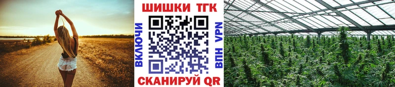 Конопля сатива Мичуринск